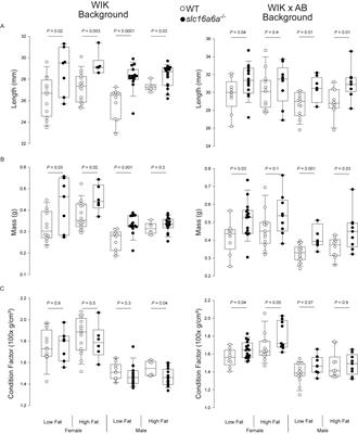 The Monocarboxylate Transporter SLC16A6 Regulates Adult Length in Zebrafish and Is Associated With Height in Humans